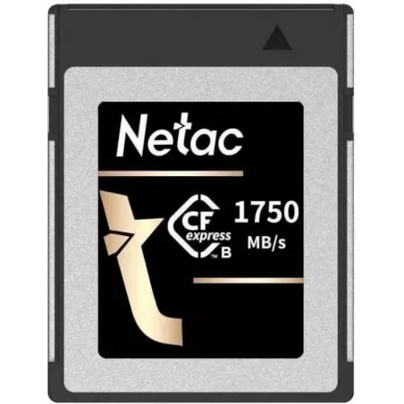 Купить карта памяти 256GB Netac NT02CF2000-256G-S в Москве, смотреть цены  в интернет-магазине goldbyte.ru