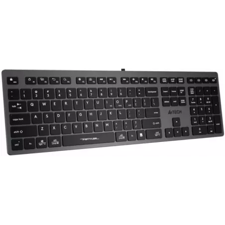 Купить клавиатура A4Tech Fstyler FX50 в Москве, смотреть цены FX50 GREY в интернет-магазине goldbyte.ru