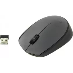 Купить мышь Wireless Logitech M170 в Москве, смотреть цены 910-004642 в интернет-магазине goldbyte.ru