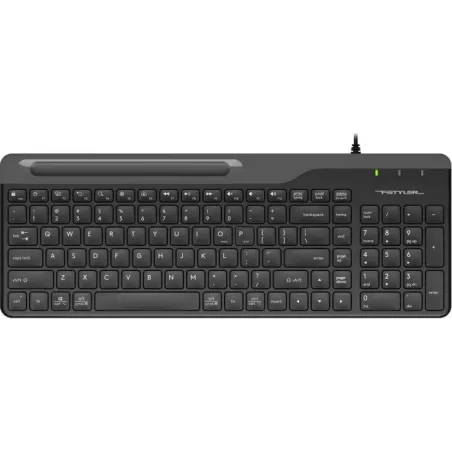Купить клавиатура A4Tech Fstyler FK25 в Москве, смотреть цены FK25 BLACK в интернет-магазине goldbyte.ru