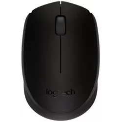 Купить мышь Wireless Logitech B170 в Москве, смотреть цены 910-004798 в интернет-магазине goldbyte.ru