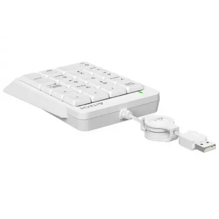 Купить цифровой блок клавиатуры A4Tech Fstyler FK13 в Москве, смотреть цены FK13 USB ( WHITE ) в интернет-магазине goldbyte.ru