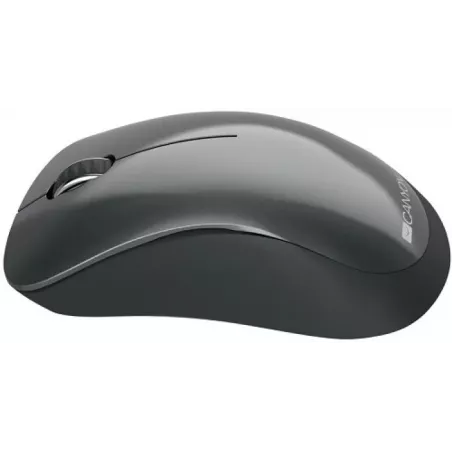 Купить мышь Wireless Canyon MW-11 в Москве, смотреть цены CNE-CMSW11B в интернет-магазине goldbyte.ru