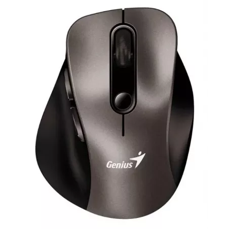 Купить мышь Wireless Genius Ergo 9000S в Москве, смотреть цены 31030038402 в интернет-магазине goldbyte.ru