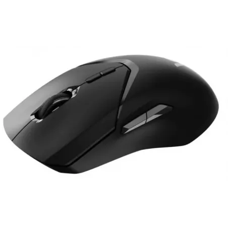 Купить мышь Wireless Rapoo VT9Pro в Москве, смотреть цены  в интернет-магазине goldbyte.ru