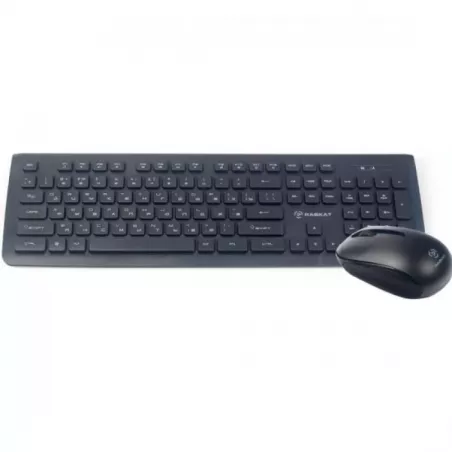 Купить клавиатура и мышь Wireless ACD Raskat BX6200 в Москве, смотреть цены ACD-BX6200-RBB в интернет-магазине goldbyte.ru