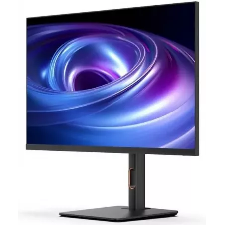 Купить монитор 24'' CHiQ LMD24F900-RPS в Москве, смотреть цены  в интернет-магазине goldbyte.ru
