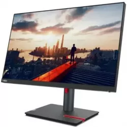 Купить монитор 23,8'' Lenovo ThinkVision P24h-30 в Москве, смотреть цены 63B3GAT6EU в интернет-магазине goldbyte.ru